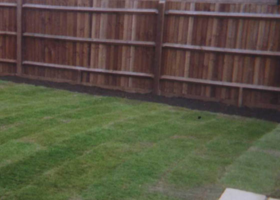 Garden Services Salisbury Wiltshire gardening