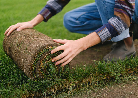 Garden Services Salisbury Wiltshire hedge cutting